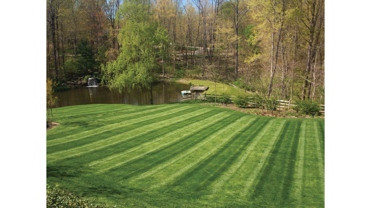 Landscape Design
